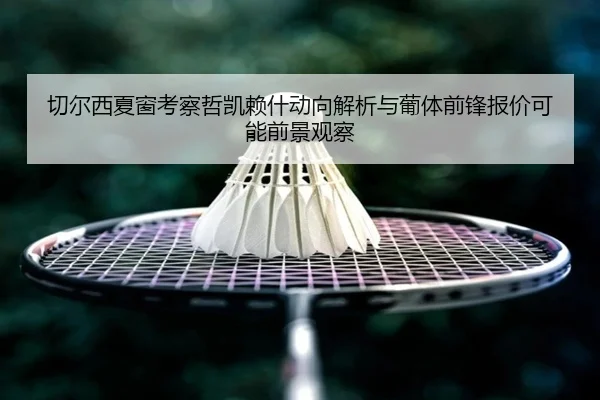 切尔西夏窗考察哲凯赖什动向解析与葡体前锋报价可能前景观察